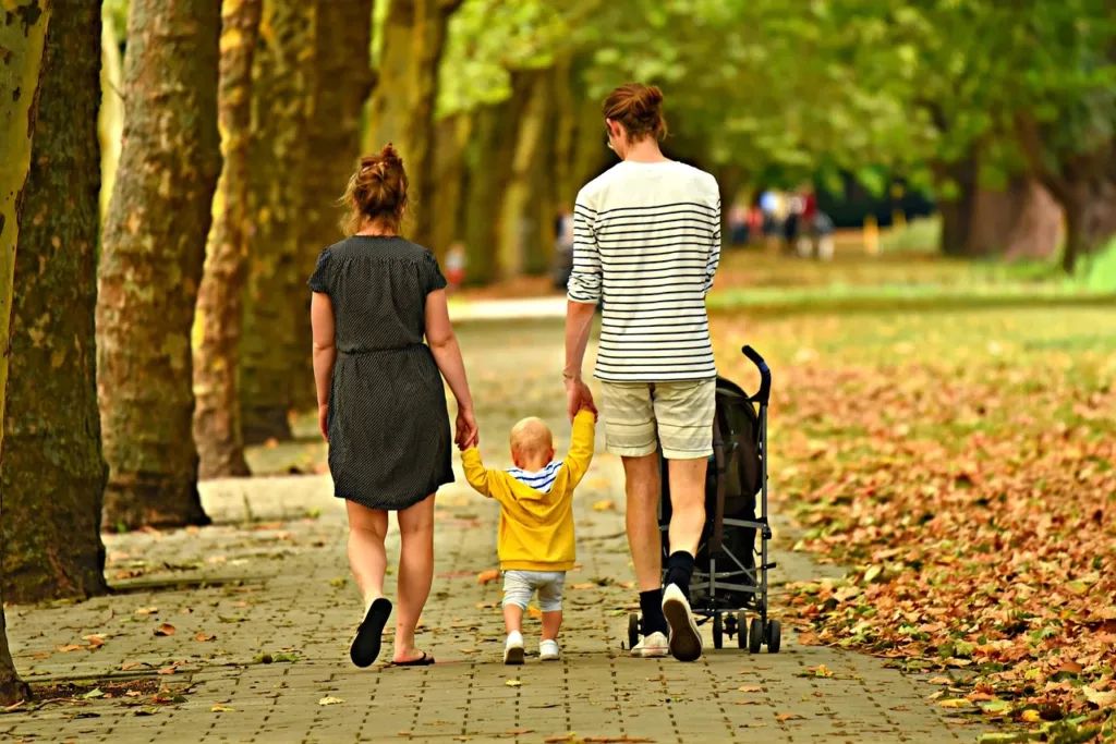 homeowners insurance