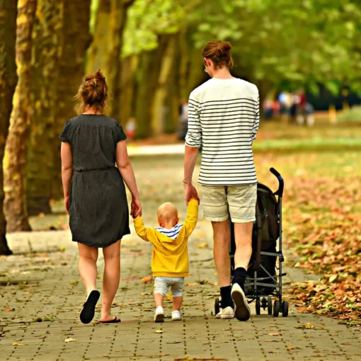 homeowners insurance